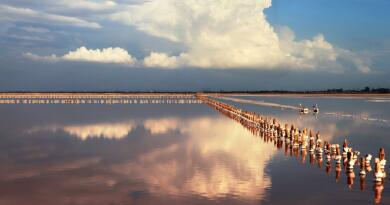 Экскурсия из Евпатории: «Розовое» озеро фото 16542