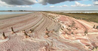 Экскурсия из Евпатории: Розовое озеро Сасык-Сиваш, Лебединое и Грязевое оз фото 16521