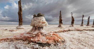 Розовое озеро Сасык-Сиваш, Лебединое и Грязевое озеро