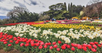 Экскурсии в Парад Тюльпанов в Никитском ботаническом саду из Евпатории 2024