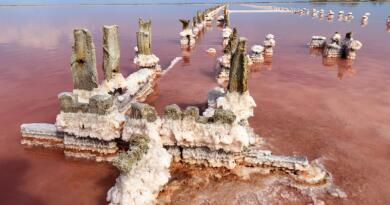 Экскурсия из Евпатории: «Розовое» озеро фото 16544